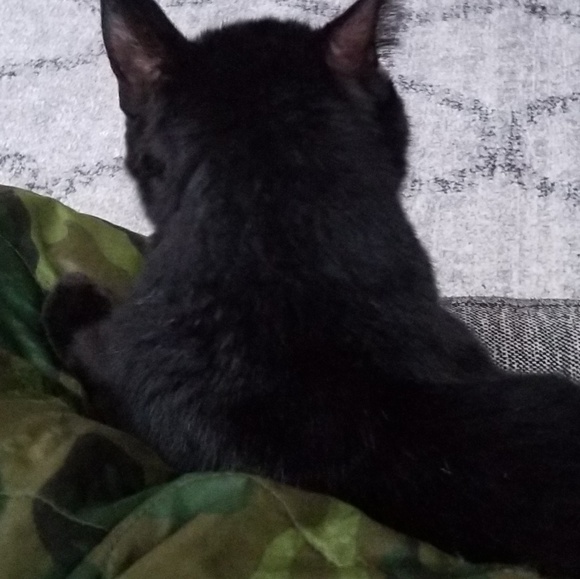 Meet your Posher, Sara - Picture 1 of 1